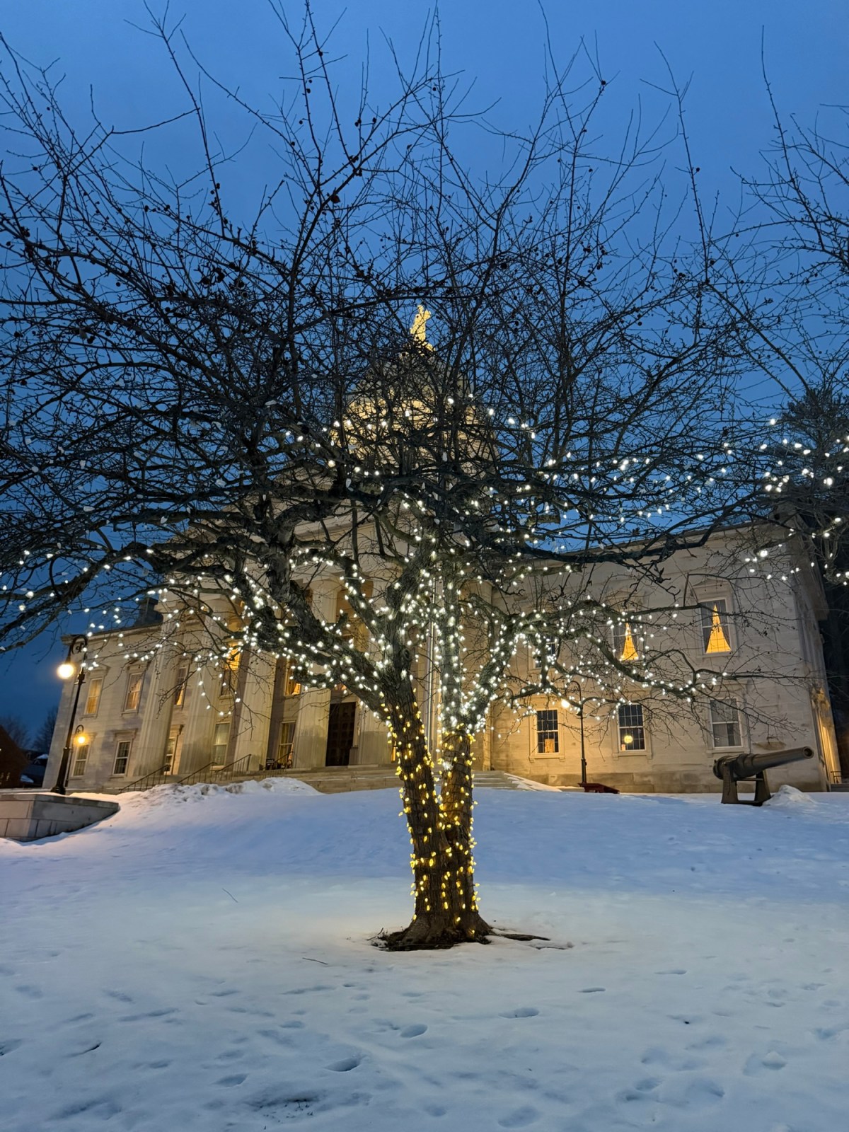 Rep. Sibilia: Week 2 of the 2026&nbsp;Session