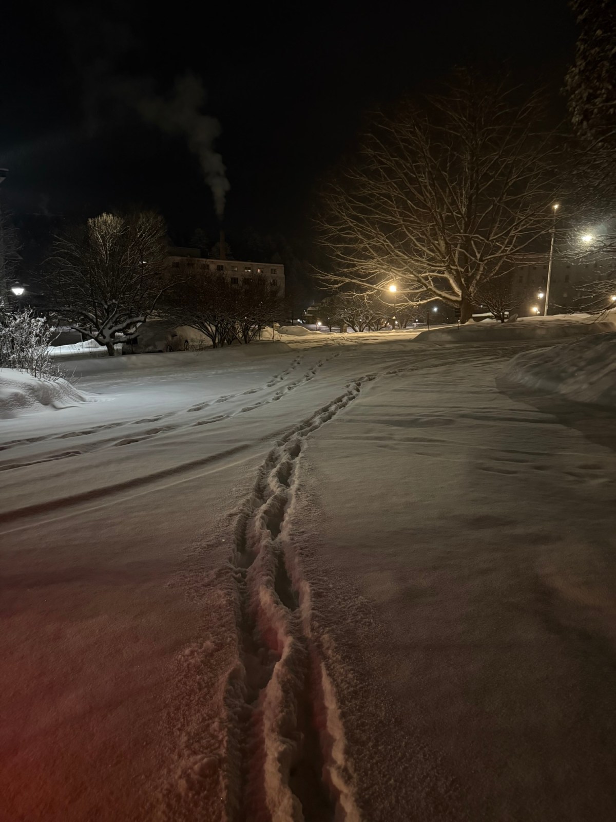 Rep. Sibilia: Week 6 of the 2026&nbsp;Session