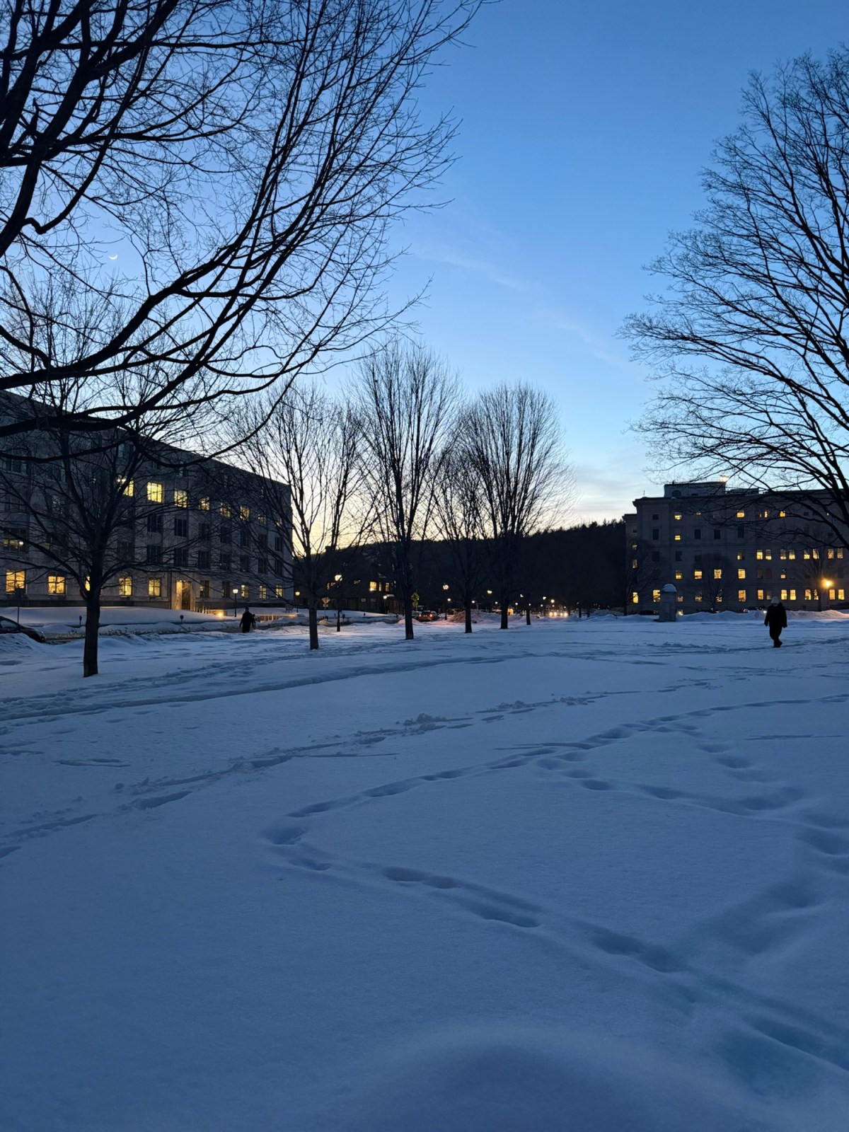 Rep. Sibilia: Week 7 of the 2026 Legislative&nbsp;Session