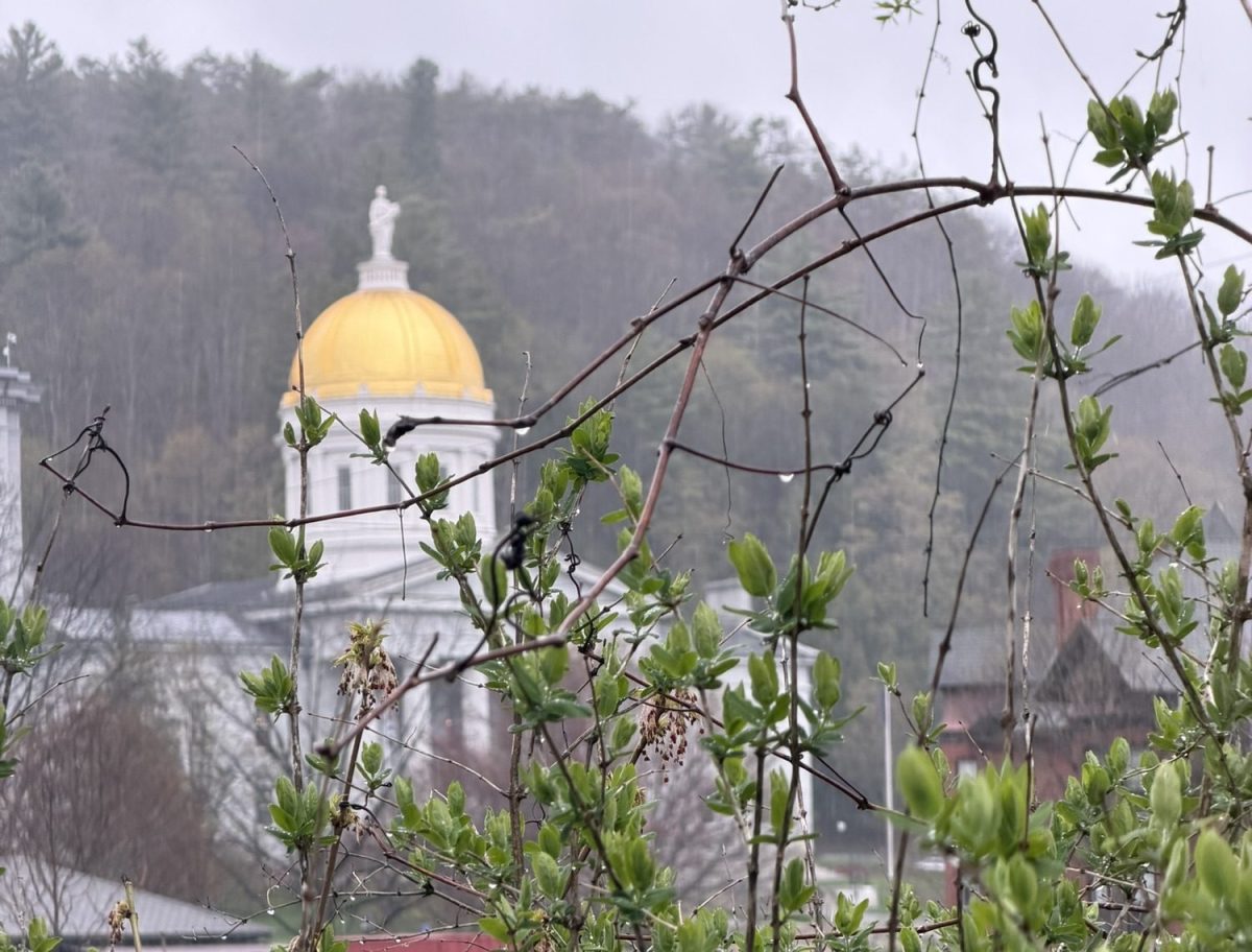 Rep. Sibilia: Week 17 of the Vermont Legislative&nbsp;Session