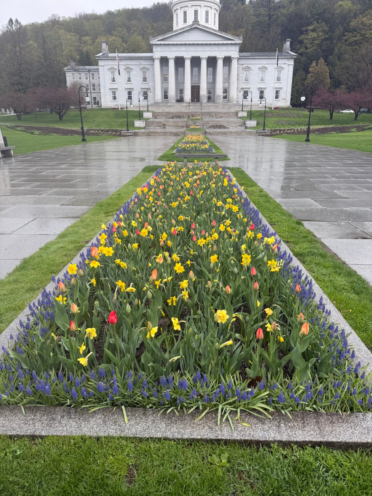 Rep. Sibilia: Week 18 of the 2026 Legislative&nbsp;Session