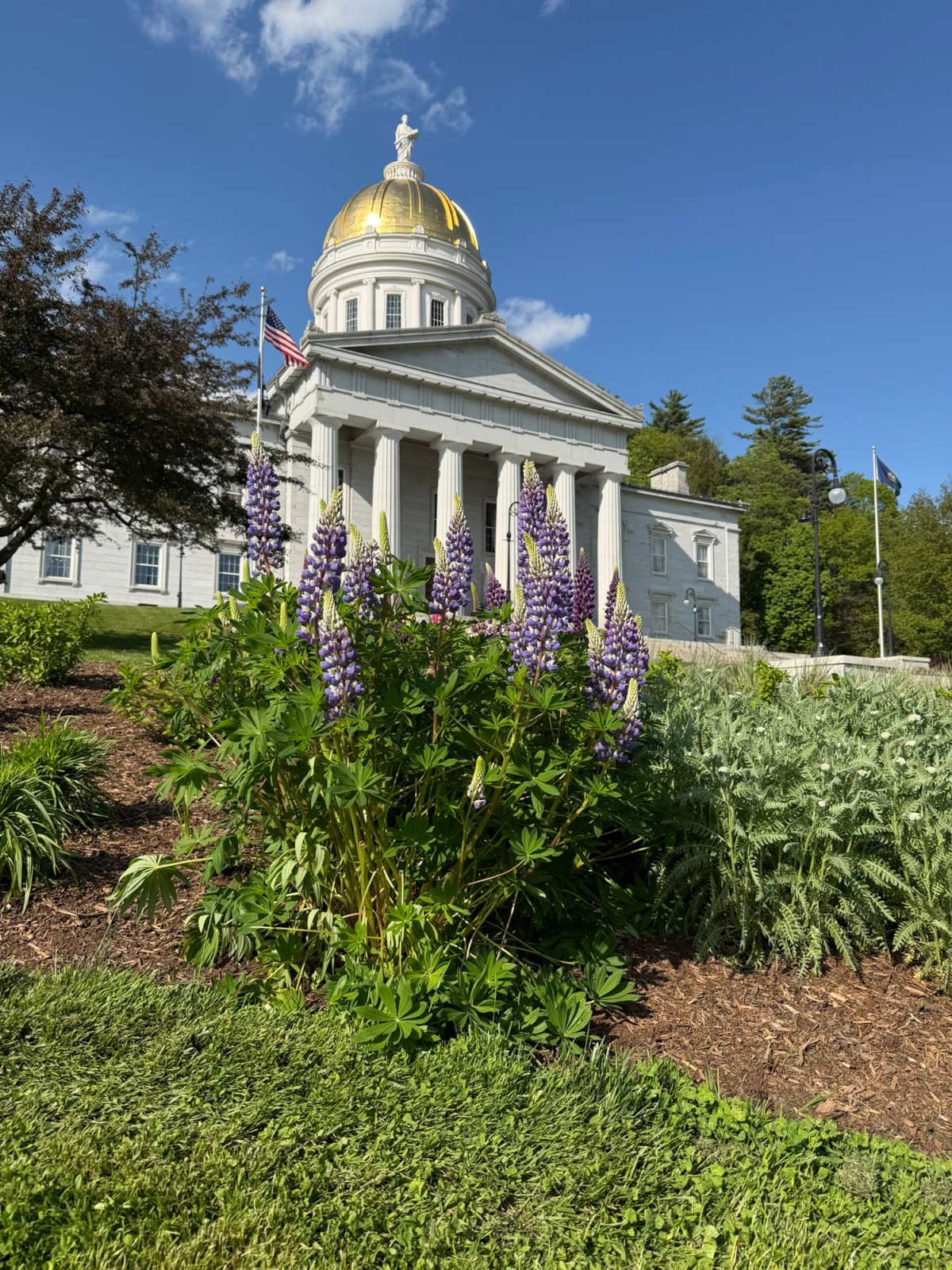Rep. Sibilia: Week 21 of the 2026 Legislative Session – part&nbsp;1